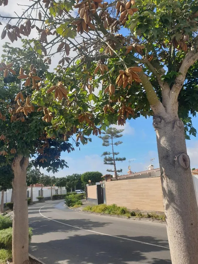 Ferienhaus Villa El Caramelito 1 Maspalomas